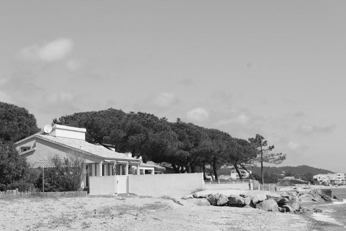 Villa Bord de mer, pieds dans l'eau, vue panoramique San-Nicolao Exterior foto